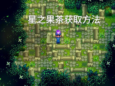 星露谷物语怎么果酱