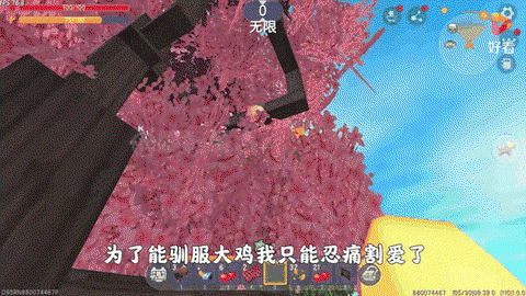 迷你世界飞鸡怎么骑[图2]