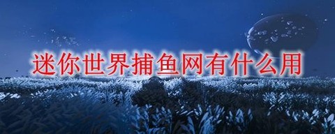 迷你世界捕鱼网怎么用[图1]
