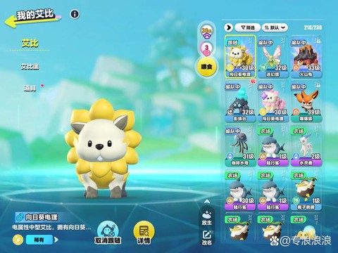 口袋妖怪复刻飞行石怎么得[图2]