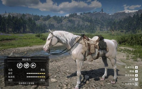 荒野大镖客马镫什么好