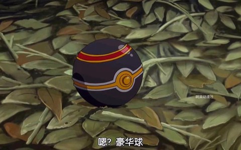 神奇宝贝第六部是什么[图1]