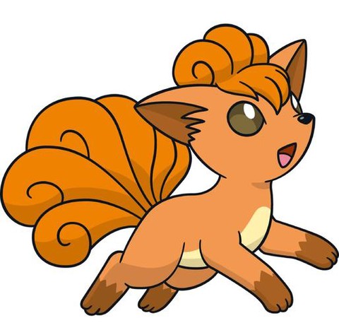 神奇宝贝第六部是什么[图2]