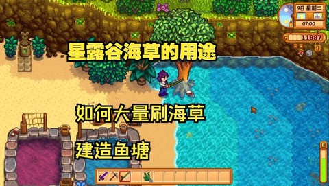 星露谷物语怎么海草