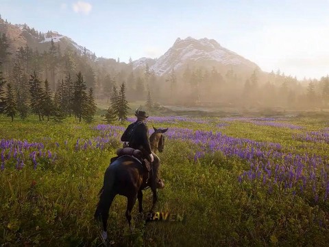 荒野大镖客什么平台能玩