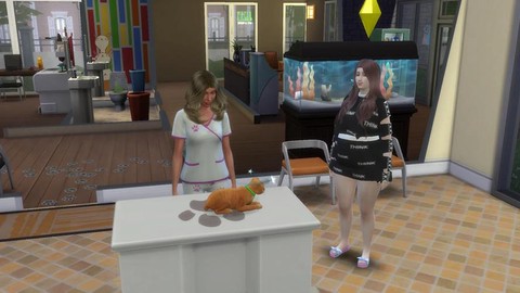 模拟人生4宠物吃什么[图1]