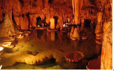 武林外传龙葵怎么挖