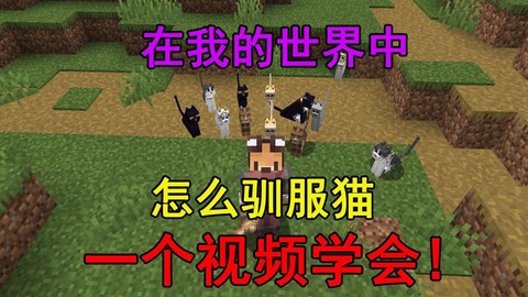 我的世界里怎么驯服猫[图2]