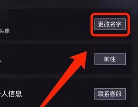 绝地求生如何起名字