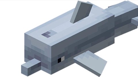 我的世界海豚怎么骑[图1]