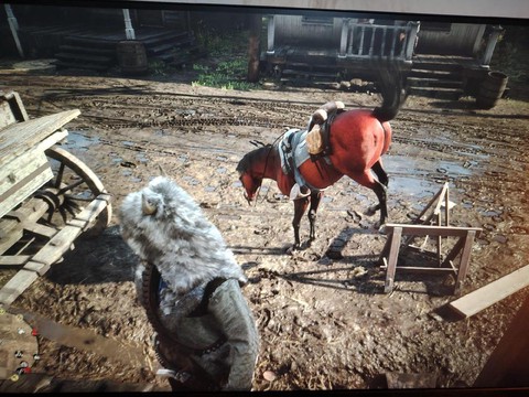 荒野大镖客如何鞍包[图2]